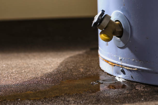 Best Commercial water damage restoration  in Gibraltar, MI