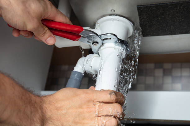 Best Water damage cleanup near me  in Gibraltar, MI