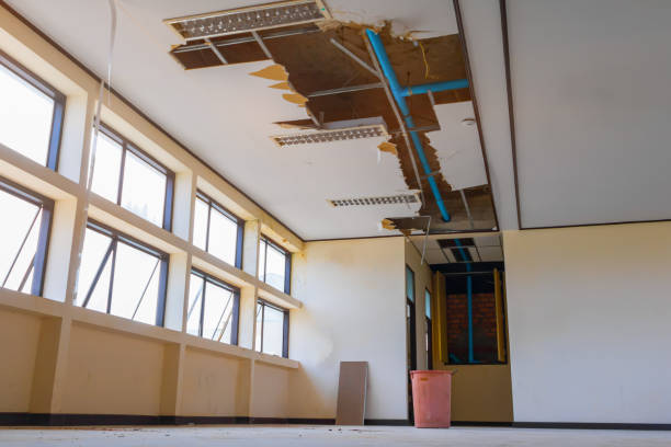 Best Residential water damage restoration  in Gibraltar, MI