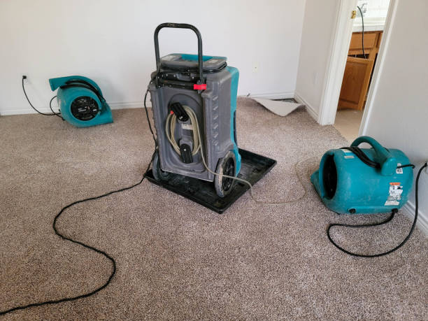 Best Basement water damage restoration  in Gibraltar, MI