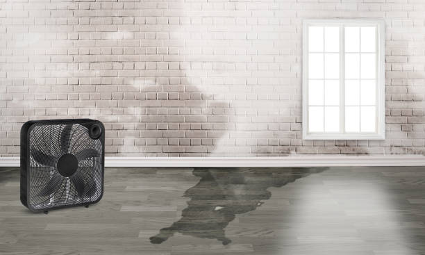 Best 24-hour water damage restoration  in Gibraltar, MI