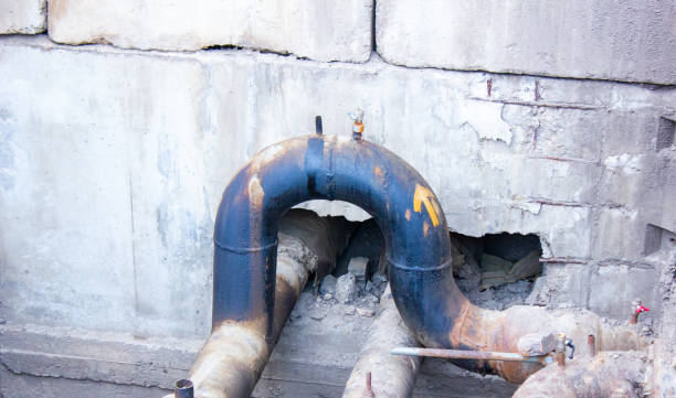 Best Flood damage cleanup  in Gibraltar, MI