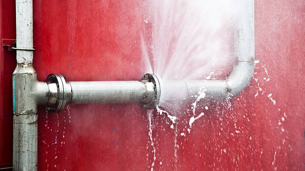 Best Water damage contractors near me  in Gibraltar, MI